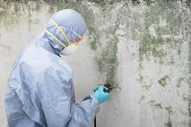 Mold Removal for HVAC Installations in Woburn, MA